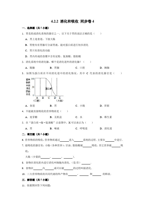 人教版生物七年级下册消化和吸收