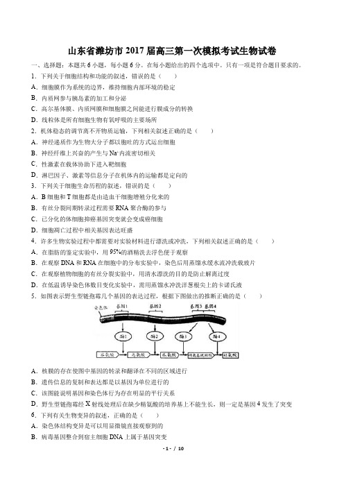 【山东省潍坊市】2017届高三第一次模拟考试生物试卷(附答案与解析)