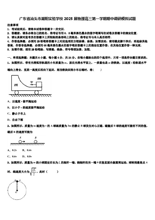 广东省汕头市潮阳实验学校2025届物理高三第一学期期中调研模拟试题含解析