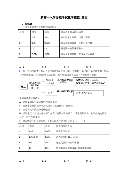 新高一入学分班考试化学模拟_图文