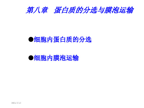 8.第八章 蛋白质的分选与膜泡运输