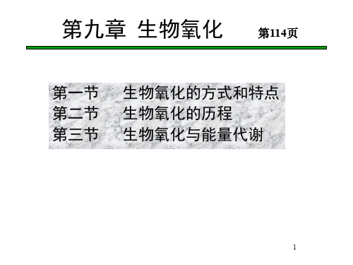 生物化学王镜岩第三版ppt课件