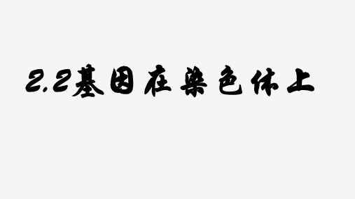 【高中生物】基因在染色体上课件 2022-2023学年高一下学期生物人教版(2019)必修2