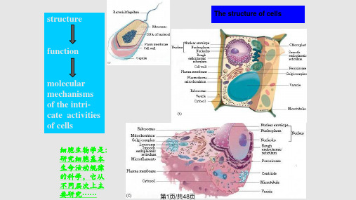 细胞生物学Introduction of cell biologyPPT课件