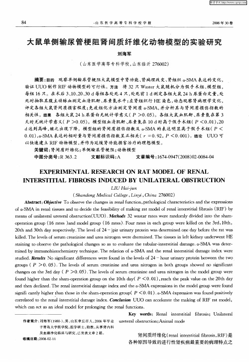 大鼠单侧输尿管梗阻肾间质纤维化动物模型的实验研究