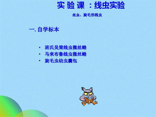 丝虫旋毛虫实验(共60张PPT)