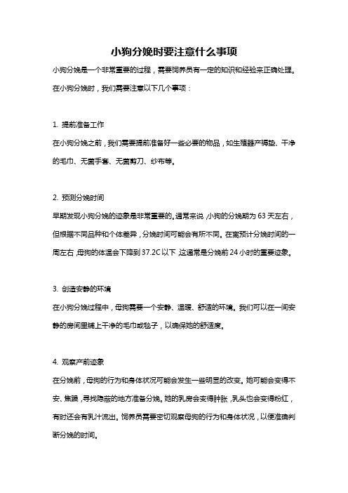 小狗分娩时要注意什么事项