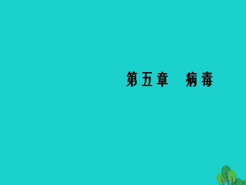 八年级生物上册 5_5 病毒教学课件 (新版)新人教版