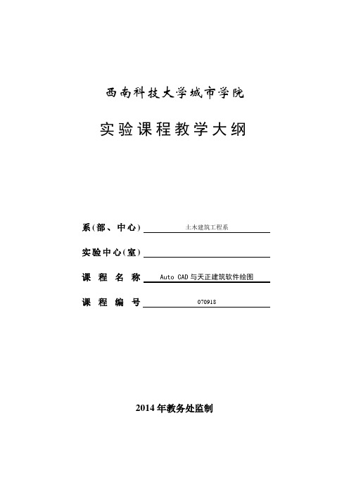 西南科技大学城市学试验大纲--CAD与天正