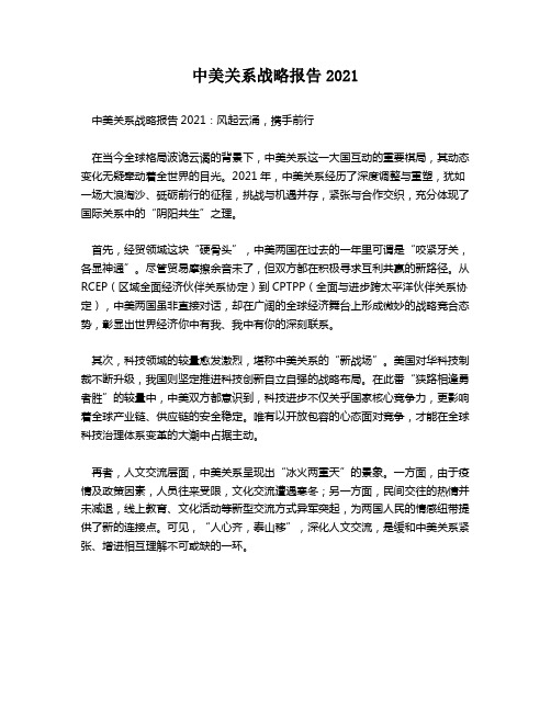 中美关系战略报告2021 