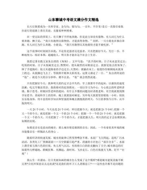 山东聊城中考语文满分作文精选