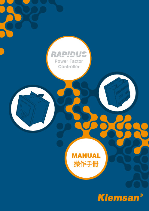 RAPIDUS 功率因数控制器手册说明书