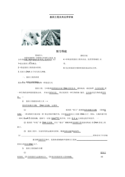 人教版必修二6.2基因工程及其应用学案