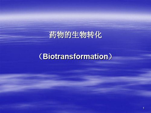 药物生物转化PPT参考课件