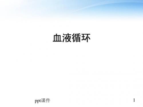 血液循环  ppt课件