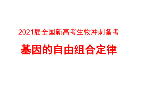 2021届全国新高考生物冲刺备考基因的自由组合定律