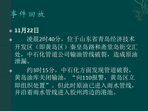 1122青岛爆炸事故精品文档20页