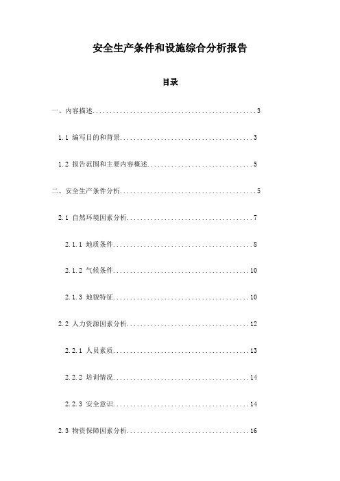 安全生产条件和设施综合分析报告