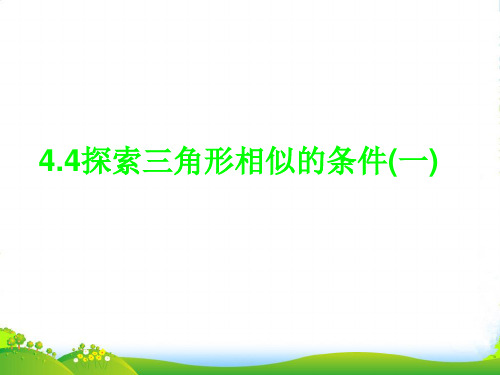 新北师大版九年级数学上册《探索三角形相似的条件(1)》课件