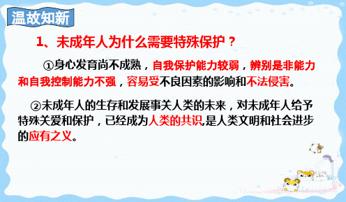 部编版道德与法治我们与法律同行公开课PPT课件1