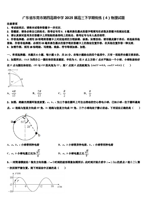 广东省东莞市第四高级中学2025届高三下学期统练(4)物理试题