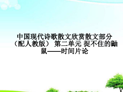 中小学优质课件捉不住的鼬鼠课件.ppt
