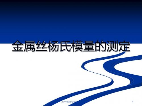 金属丝杨氏模量的测定 16页PPT文档