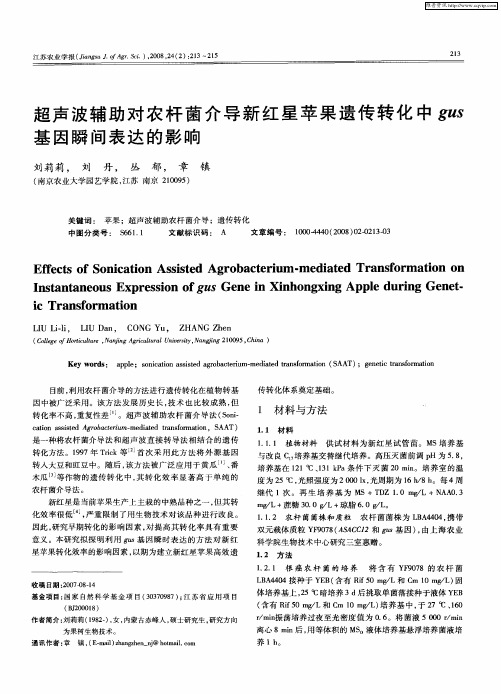 超声波辅助对农杆菌介导新红星苹果遗传转化中gus基因瞬间表达的影响