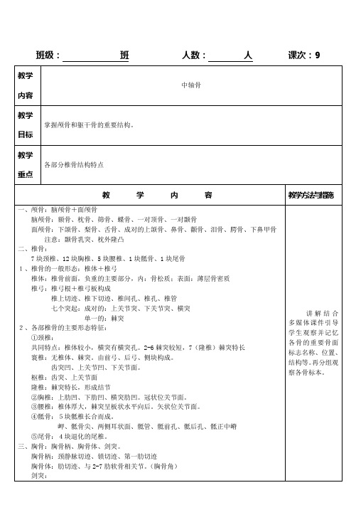 掌握颅骨和躯干骨的重要结构