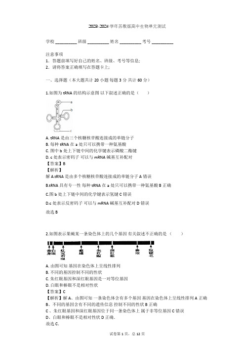 2023-2024学年高中生物苏教版必修2第4章 遗传的分子基础单元测试(含答案解析)