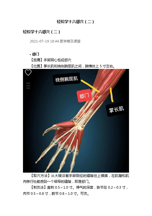 轻松学十六郄穴（二）