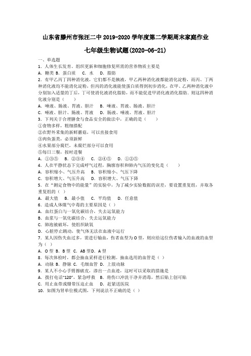 山东省滕州市张汪二中2019-2020学年第二学期周末家庭作业七年级生物试题(无答案) (2)