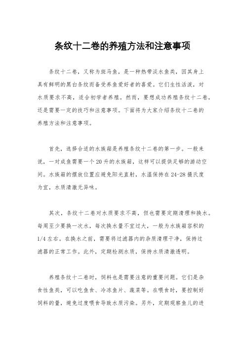 条纹十二卷的养殖方法和注意事项