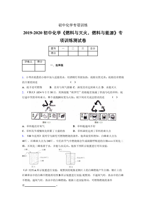 2019-2020学年初中化学《燃料与灭火,燃料与能源》专项训练模拟测试(含答案) (416)