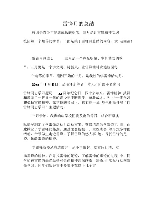 雷锋月的总结