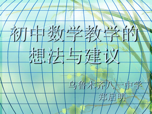 初中数学的想法和建议 PPT课件 图文
