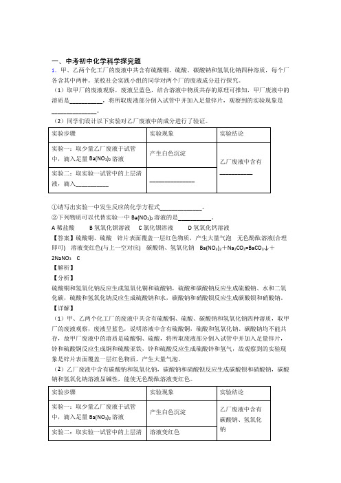 中考化学易错题专题训练-探究题练习题附答案解析