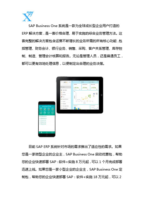 SAP ERP系统专业解决方案