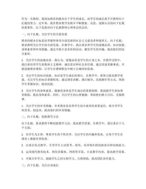 向下扎根教师心得体会