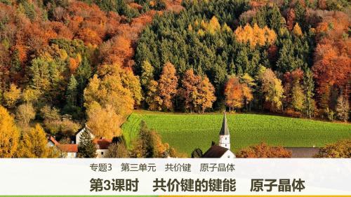 高中化学苏教版选修3课件:专题3 第三单元 第3课时