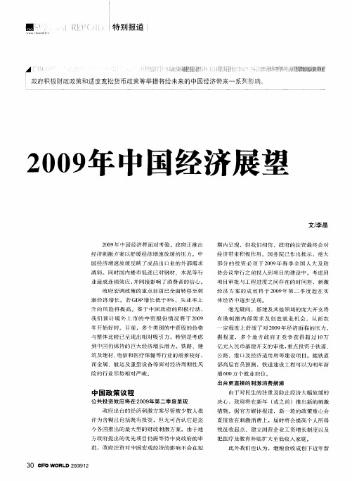 2009年中国经济展望