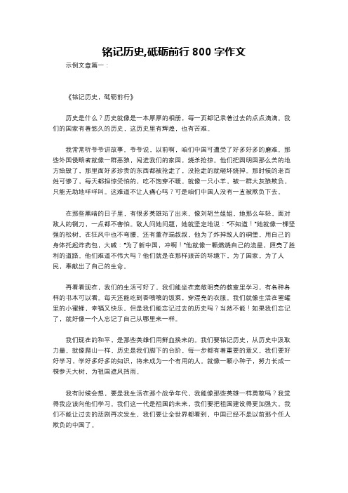 铭记历史,砥砺前行800字作文