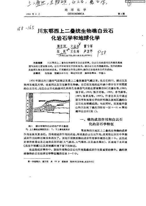 川东鄂西上二叠统生物礁白云石化岩石学和地球化学