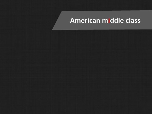 American middle class(美国中产阶级)