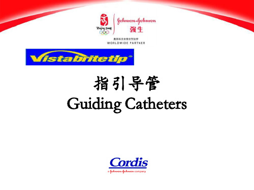 3_Guiding catheter