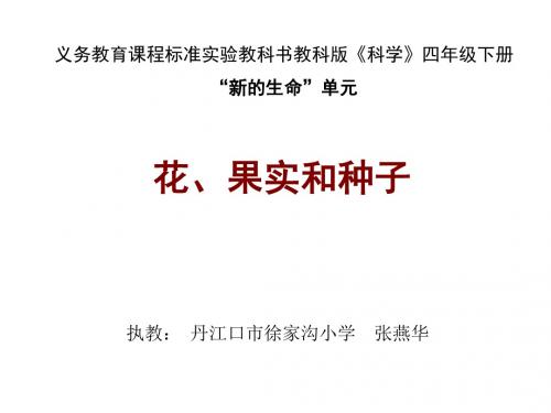 小学科学花、果实和种子