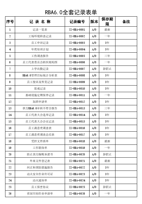 RBA6.0全套记录表单