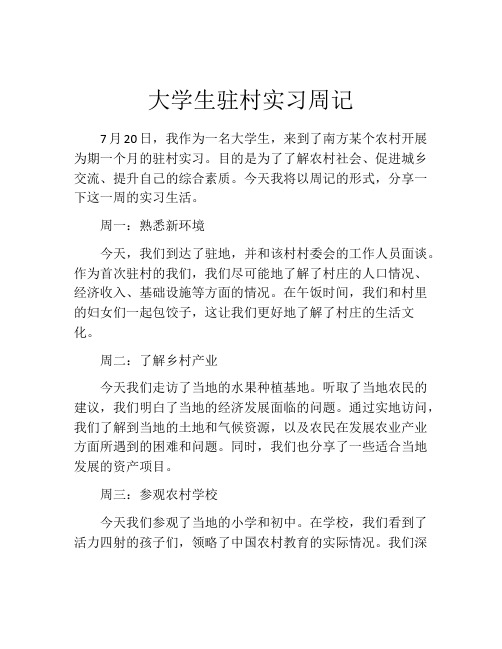 大学生驻村实习周记