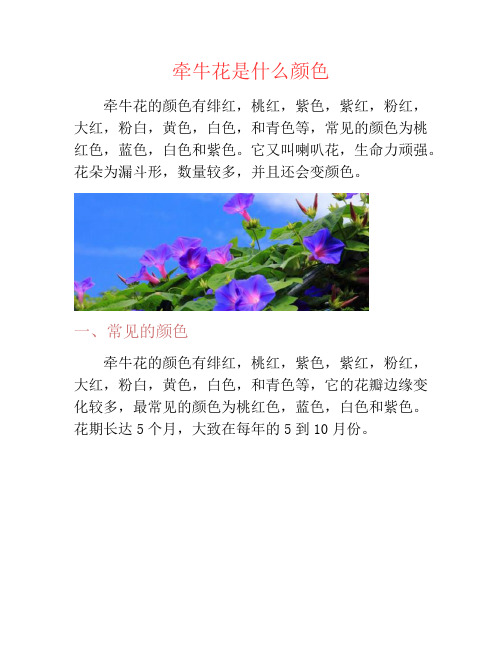 牵牛花是什么颜色