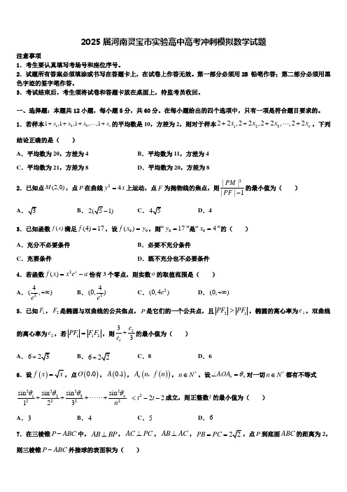 2025届河南灵宝市实验高中高考冲刺模拟数学试题含解析